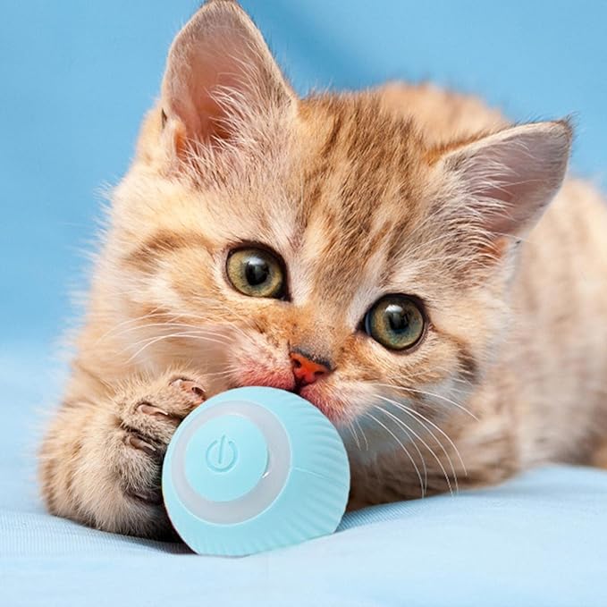 Juguete Inteligente Bola Rodante para Gatos y Perros